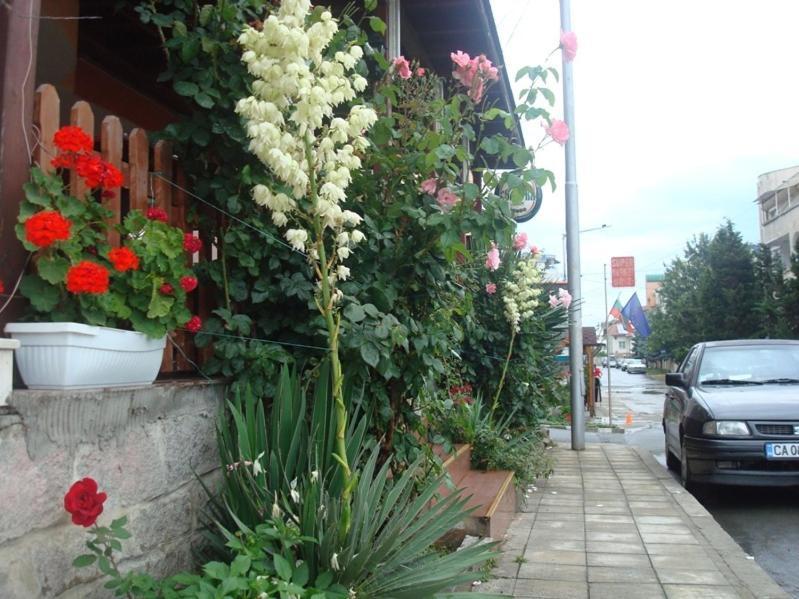 Lazur Hotel Ravda Exterior photo